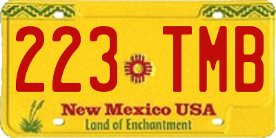 NM license plate 223TMB