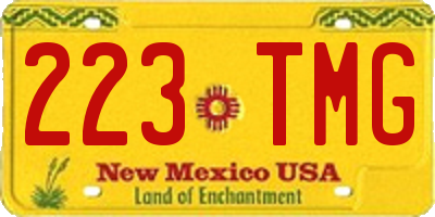 NM license plate 223TMG