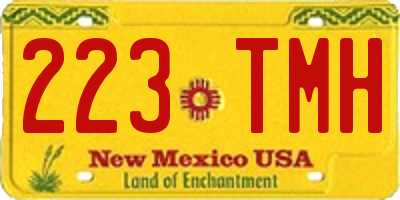 NM license plate 223TMH