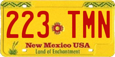 NM license plate 223TMN