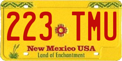 NM license plate 223TMU
