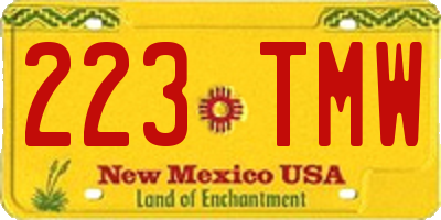 NM license plate 223TMW