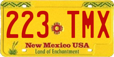 NM license plate 223TMX