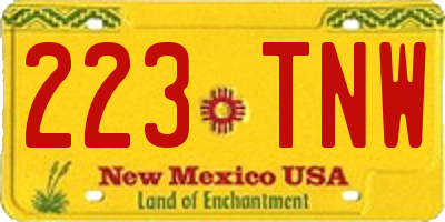 NM license plate 223TNW