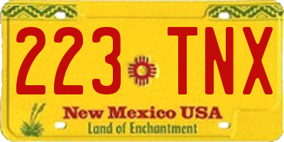 NM license plate 223TNX