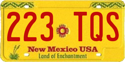 NM license plate 223TQS