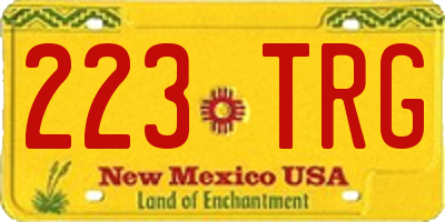 NM license plate 223TRG