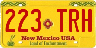 NM license plate 223TRH