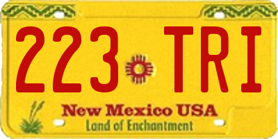 NM license plate 223TRI