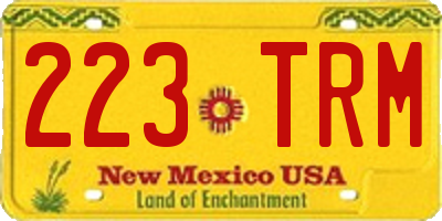 NM license plate 223TRM