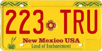 NM license plate 223TRU