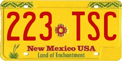 NM license plate 223TSC
