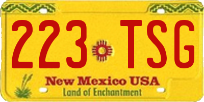 NM license plate 223TSG