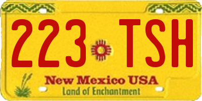 NM license plate 223TSH