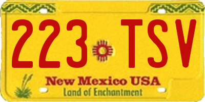 NM license plate 223TSV