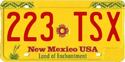 NM license plate 223TSX