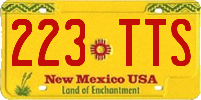 NM license plate 223TTS
