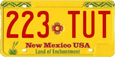 NM license plate 223TUT
