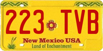 NM license plate 223TVB