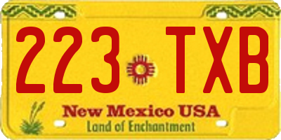 NM license plate 223TXB