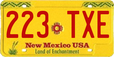 NM license plate 223TXE