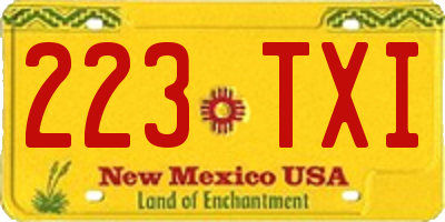 NM license plate 223TXI