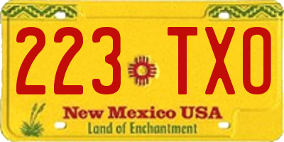 NM license plate 223TXO