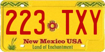 NM license plate 223TXY