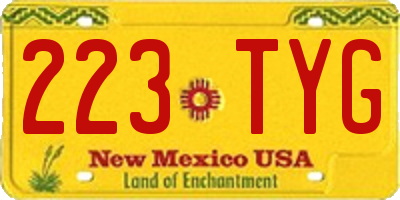 NM license plate 223TYG