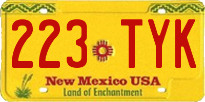 NM license plate 223TYK