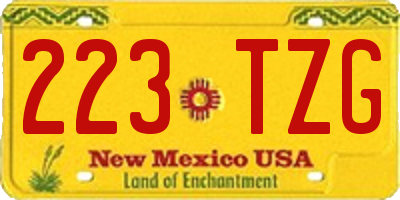 NM license plate 223TZG