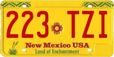 NM license plate 223TZI