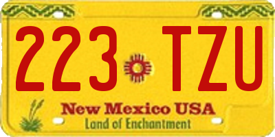 NM license plate 223TZU