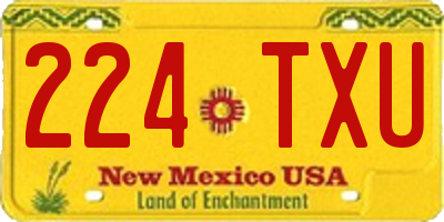 NM license plate 224TXU