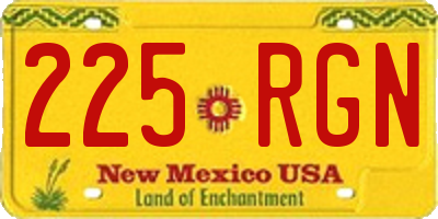 NM license plate 225RGN
