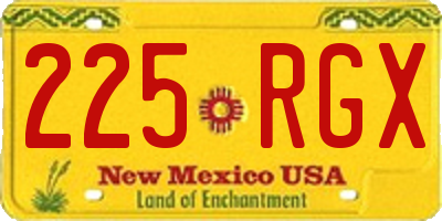 NM license plate 225RGX