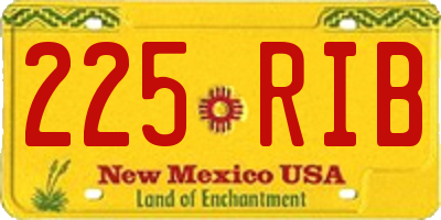 NM license plate 225RIB
