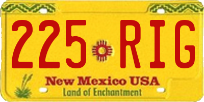 NM license plate 225RIG