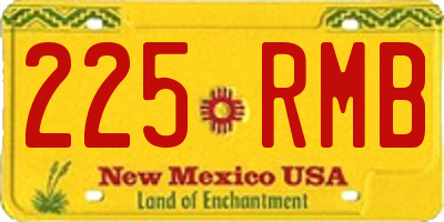 NM license plate 225RMB