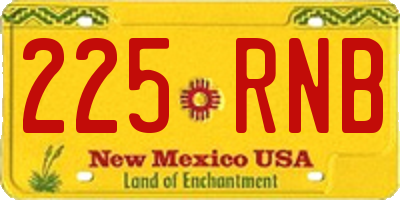NM license plate 225RNB