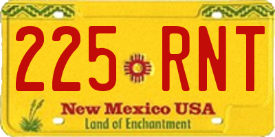 NM license plate 225RNT