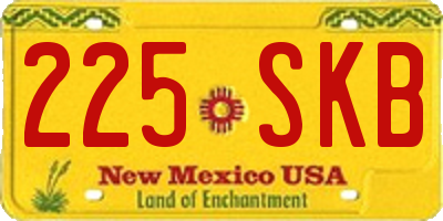 NM license plate 225SKB