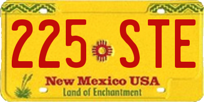 NM license plate 225STE