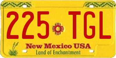 NM license plate 225TGL