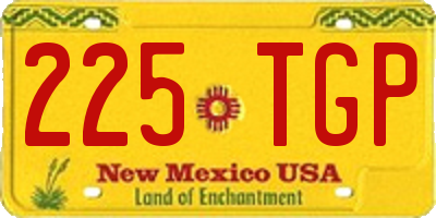 NM license plate 225TGP