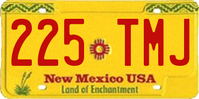 NM license plate 225TMJ