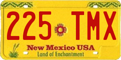 NM license plate 225TMX