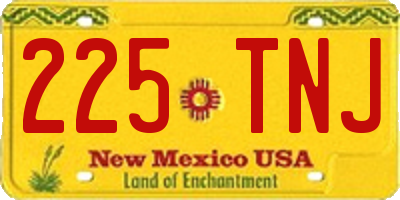 NM license plate 225TNJ