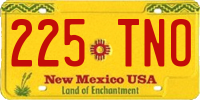NM license plate 225TNO