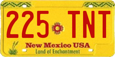 NM license plate 225TNT